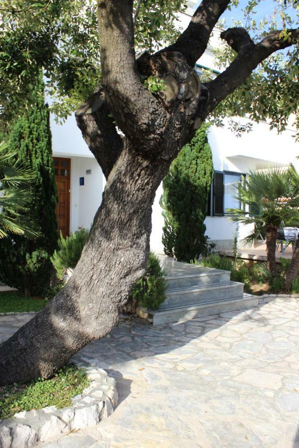 ראב Apartments Culjak Rab מראה חיצוני תמונה